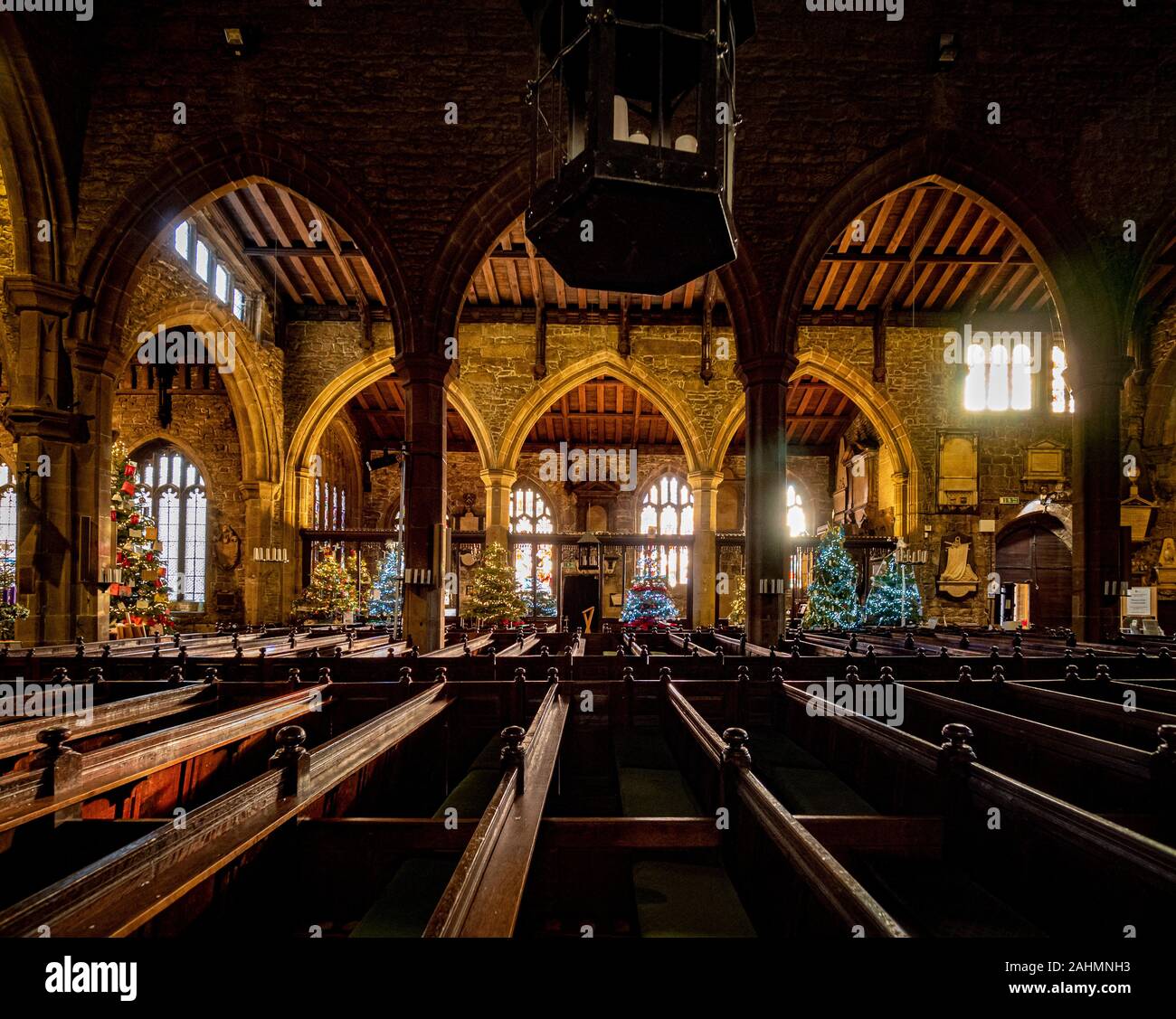 Innenraum der Halifax Münster zu Weihnachten mit mehreren Weihnachtsbäumen dekoriert, West Yorkshire, UK. Stockfoto