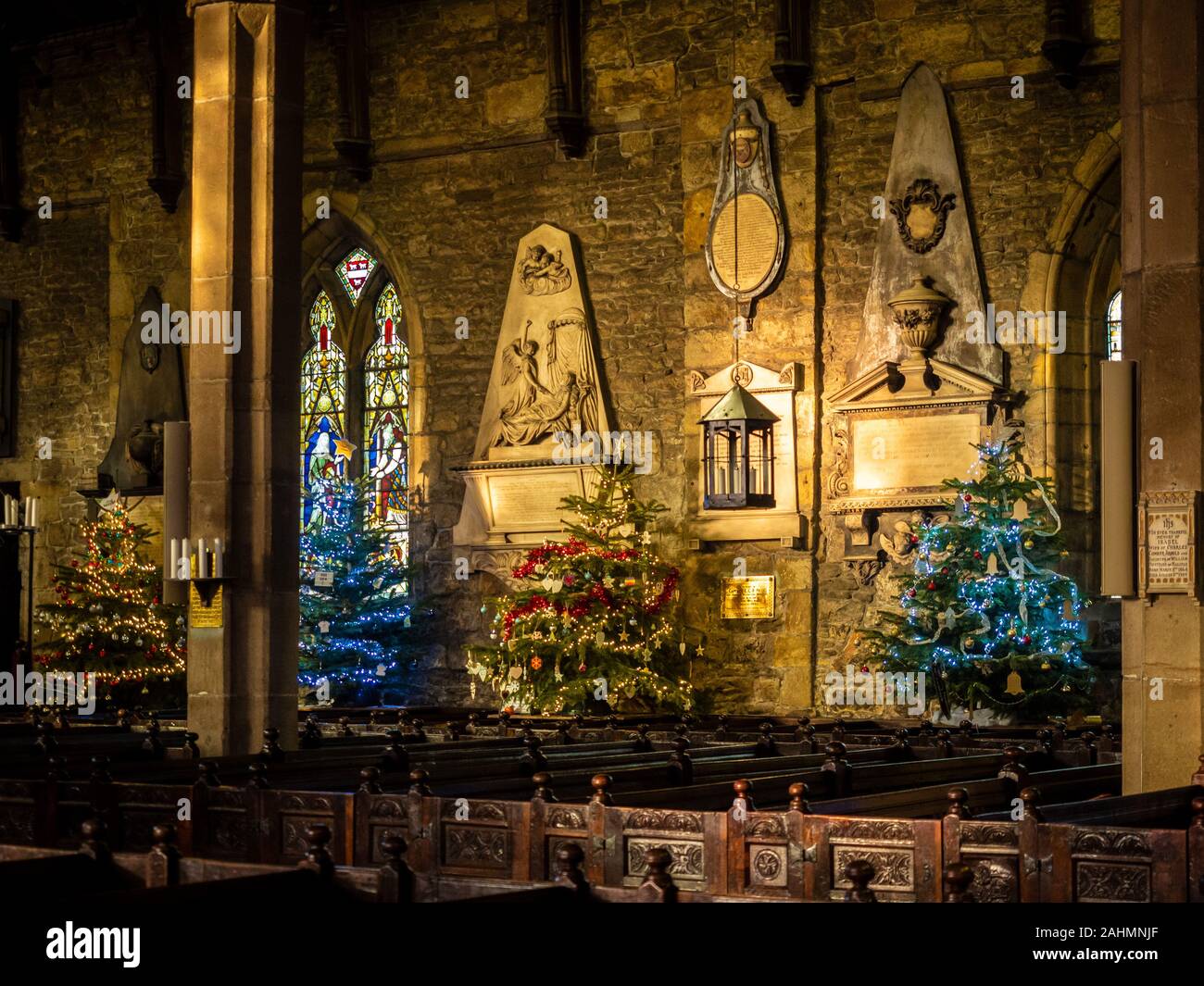 Innenraum der Halifax Münster zu Weihnachten mit mehreren Weihnachtsbäumen dekoriert, West Yorkshire, UK. Stockfoto