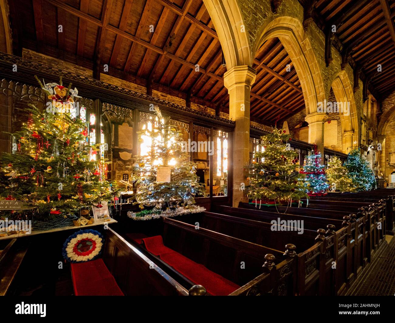 Innenraum der Halifax Münster zu Weihnachten mit mehreren Weihnachtsbäumen dekoriert, West Yorkshire, UK. Stockfoto