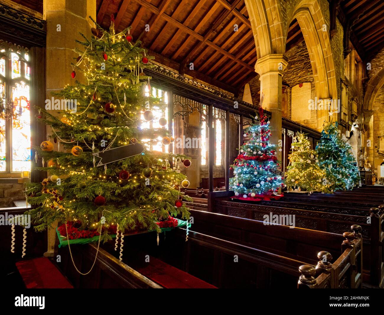 Innenraum der Halifax Münster zu Weihnachten mit mehreren Weihnachtsbäumen dekoriert, West Yorkshire, UK. Stockfoto