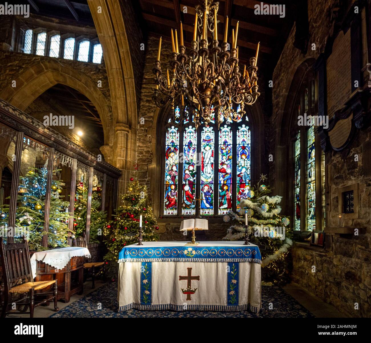 Innenraum der Halifax Münster zu Weihnachten mit mehreren Weihnachtsbäumen dekoriert, West Yorkshire, UK. Stockfoto