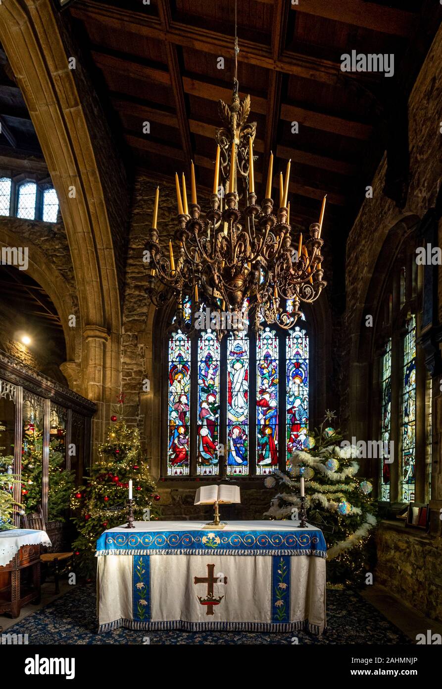 Innenraum der Halifax Münster zu Weihnachten mit mehreren Weihnachtsbäumen dekoriert, West Yorkshire, UK. Stockfoto