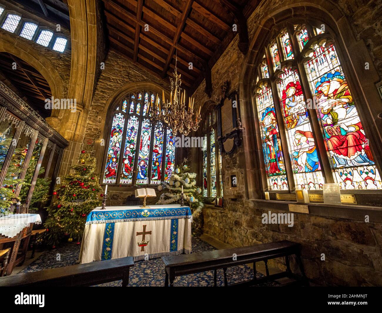 Innenraum der Halifax Münster zu Weihnachten mit mehreren Weihnachtsbäumen dekoriert, West Yorkshire, UK. Stockfoto