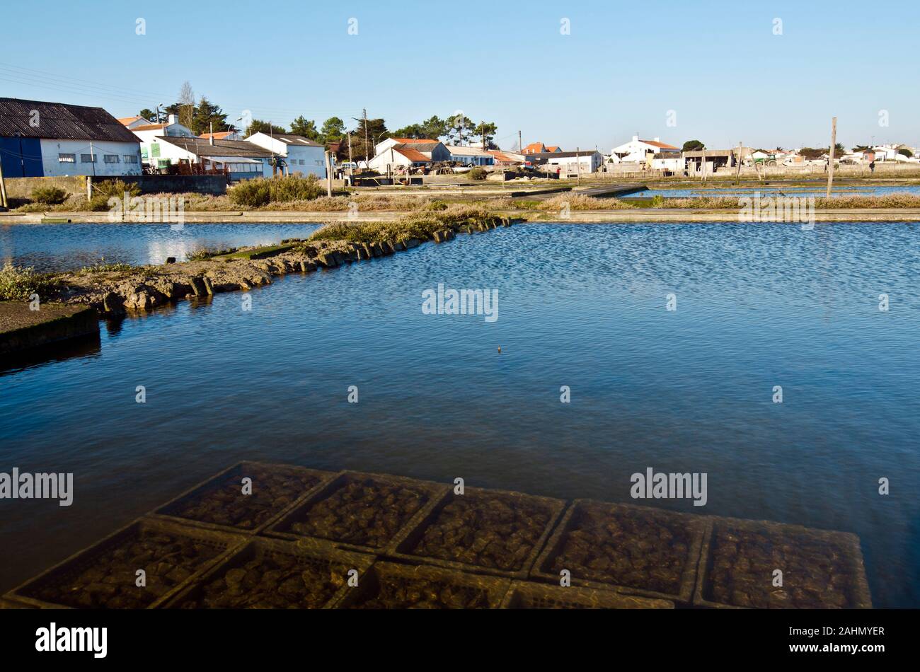 Pool von Oyster Farm mit Käfige mit wachsenden Austern unter dem Wasser. Fromentine, Frankreich, Vendee, de la Loire bezahlen Stockfoto