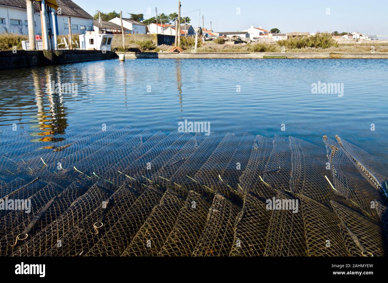Pool von Oyster Farm mit Käfige mit wachsenden Austern unter dem Wasser. Bauern Dorf ist im Hintergrund Fromentine, Frankreich, Vendee, Pay de la Loire Stockfoto