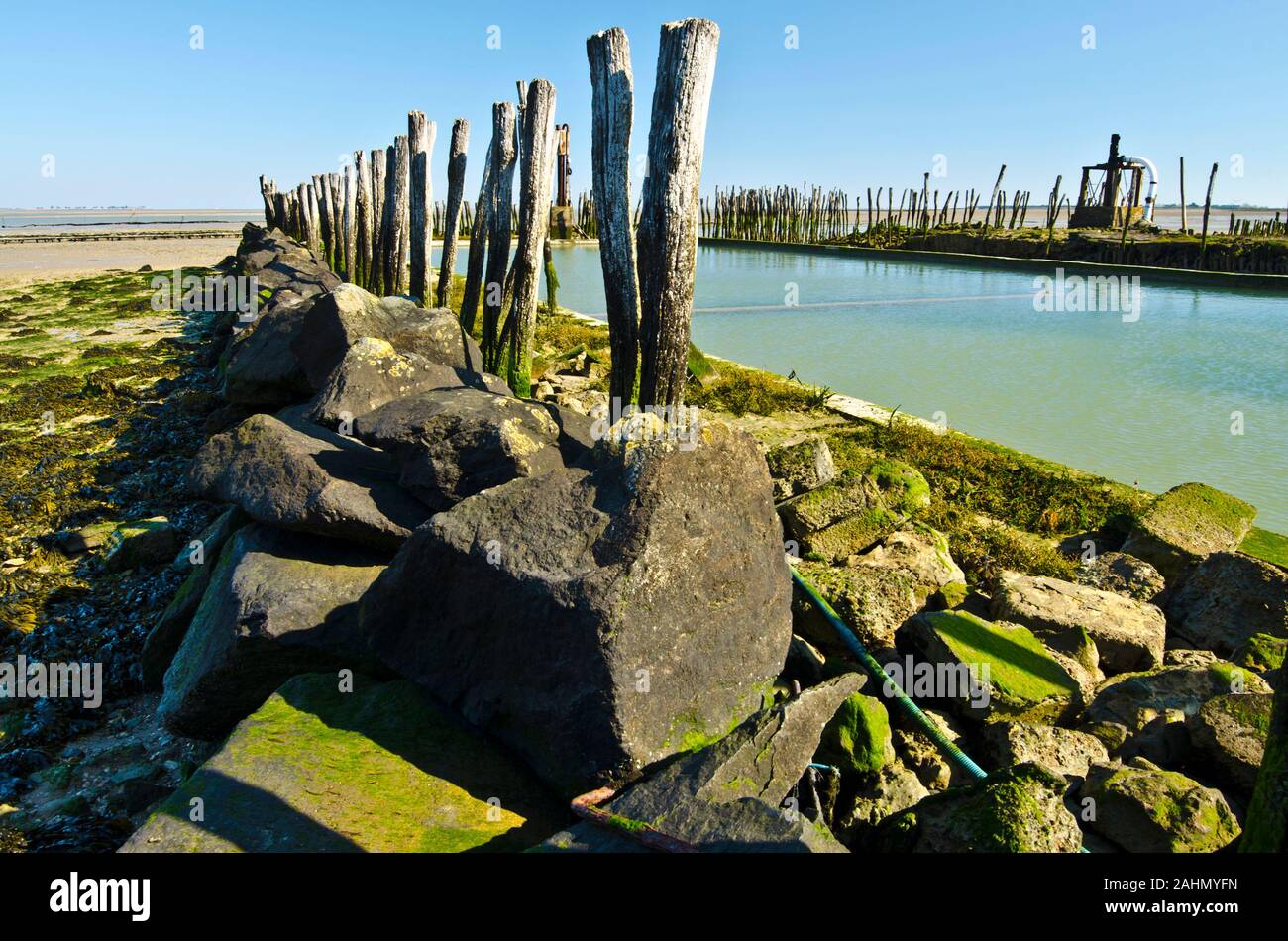 Der Stein Grenze der Pool in Oyster Farm mit Holz- Hölzern. Bei Ebbe ist der Pool mit Meerwasser und den Ozean Küste ist Tarif gefüllt. Stockfoto