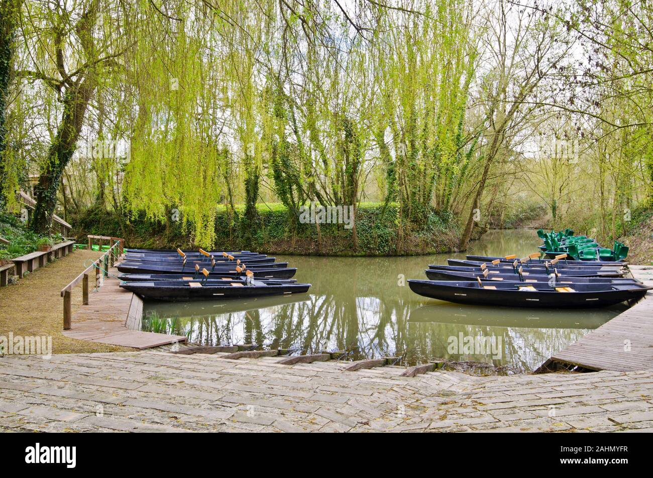Motorboot und Kanu Steg in das Grüne Venedig des Marais Poitevin in Maillezais, Vendee Abteilung, Pays de la Loire, Frankreich. Wasser tv surrounde Stockfoto
