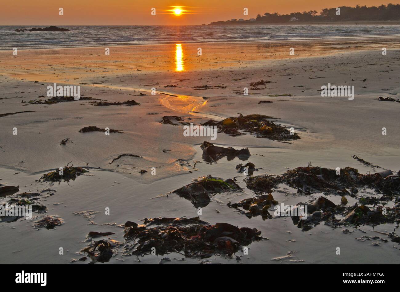 Sonne über den Atlantik Horizont vom Norden der Insel Yeu gesehen steigt, die Sonne ist in den nassen Sand Muster widerspiegelt, Meer Algen Pflanzen sind im fo Stockfoto