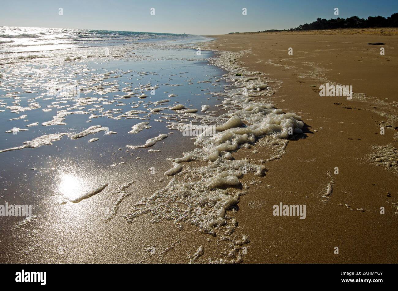 Sonne in den Gewässern des Atlantischen Ozeans und nasser Sand des Strandes widerspiegelt, Stücke Schaumstoff folgen Sie der Küste von Dune Küste im Norden der Insel Yeu, Fra Stockfoto