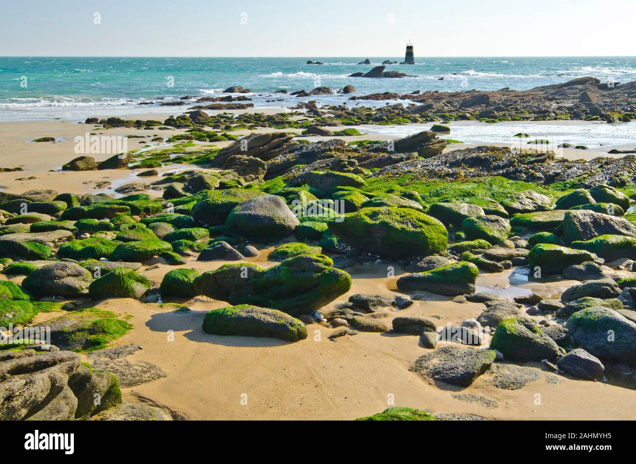 Es ist eine felsige Küste im Osten der Insel Yeu mit dem Sand und Steine mit grünen Algen bedeckt, so dass der Turm von Pointe des Corbeaux und EIN Stockfoto