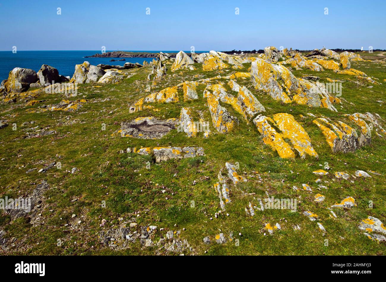 Wilden felsigen Küste im Süden der Insel Yeu mit Frühling Blumen und grünen Pflanzen im Vordergrund und einsame Insel Häuser in fare Hintergrund. Franc Stockfoto