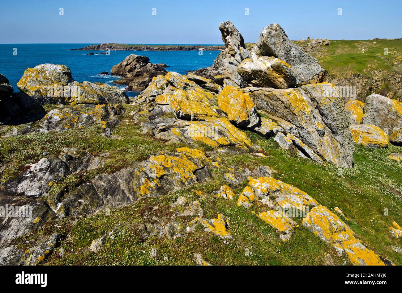 Wilden felsigen Küste im Süden der Insel Yeu mit Frühling Blumen und grünen Pflanzen im Vordergrund. Frankreich, Vendee, Pay de la Loire Stockfoto