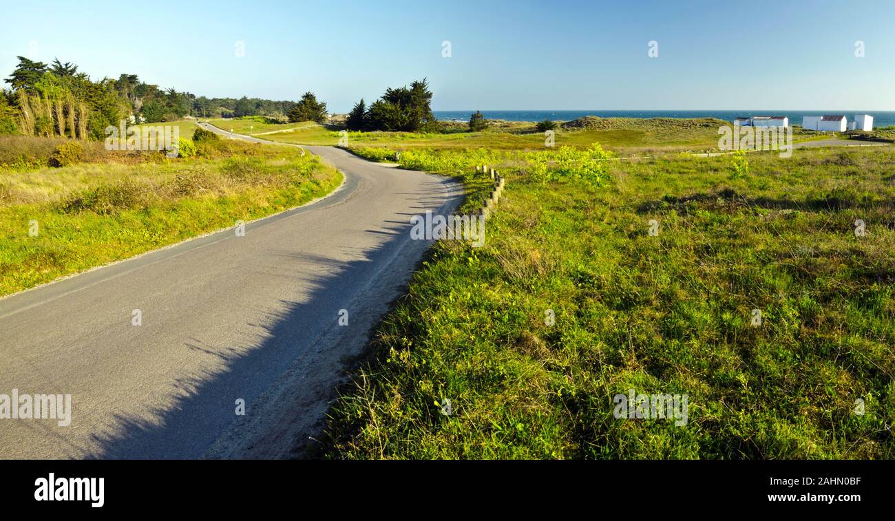 Dieser Pfeil Landschaft Straße in Insel Yeu trennt die Atlantik Küste mit grünen und Sanddünen mit Fisher Häuser im Hintergrund und Wald Stockfoto