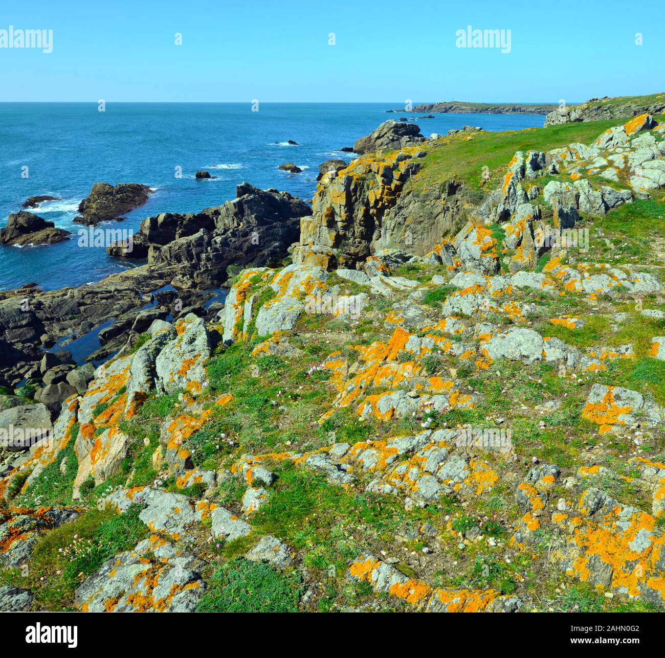 Felsige Küste im Süden der Insel Yeu bedeckt mit grünen Gras und Blumen. Frankreich, Vendee, Pay de la Loire Stockfoto