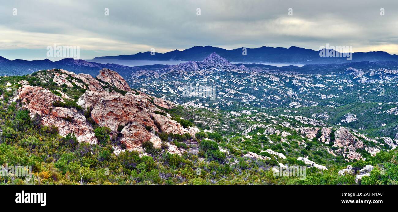 Felsige Landschaft der Desert des Agriates im Norden Korsikas, der Frühling Blumen im Vordergrund sind, bewölkter Himmel und Cap Corse sind im Hintergrund. Stockfoto