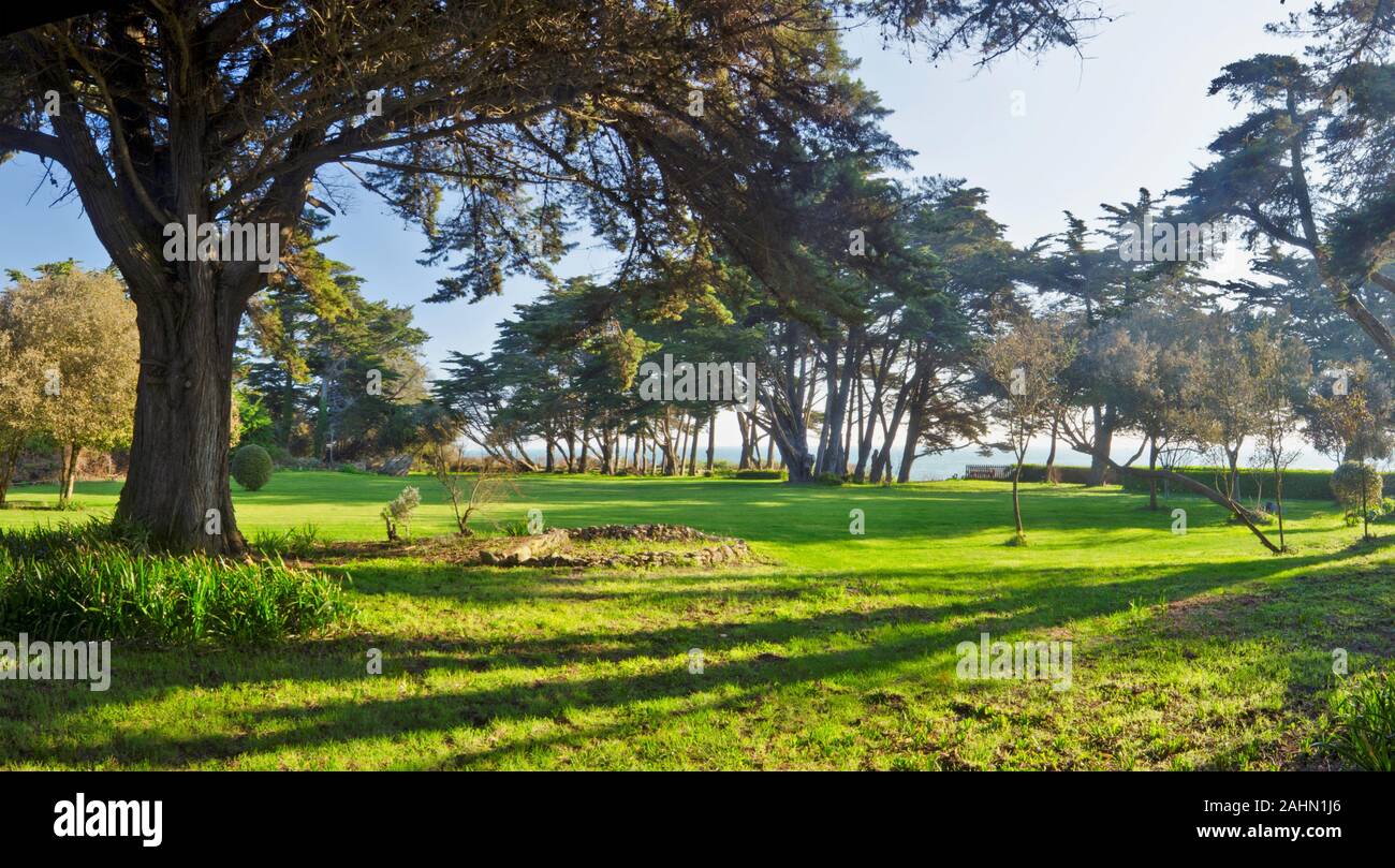 Forest Park im Norden der Insel Yeu gefüllt mit Morgensonne Licht. Frankreich, Vendee, Pay-de-la-Loire, Atlantik Küste ist im Hinterg Stockfoto