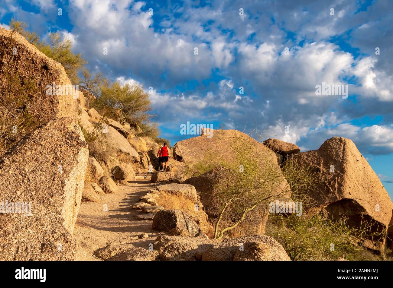 Wanderer Position ein Desert Trail am Morgen in North Scottsdale Arizona. Stockfoto