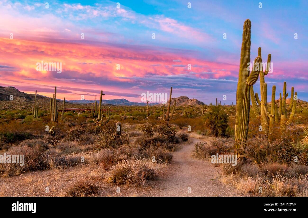 Lebendige Sonnenuntergang Himmel bei Browns Ranch trailhead Wüste erhalten In North Scottsdale AZ Stockfoto