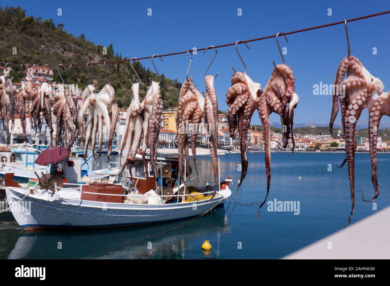 Octopus zu Trocknen in Gythio - Griechenland Stockfoto