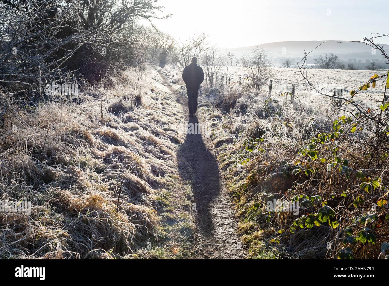 Stirlingshire, Schottland, Großbritannien. 31 Dez, 2019. UK Wetter-hellen, kalten und frostigen am letzten Tag des 2019 auf dem West Highland Way Wanderweg in Stirlingshire Credit: Kay Roxby/Alamy leben Nachrichten Stockfoto