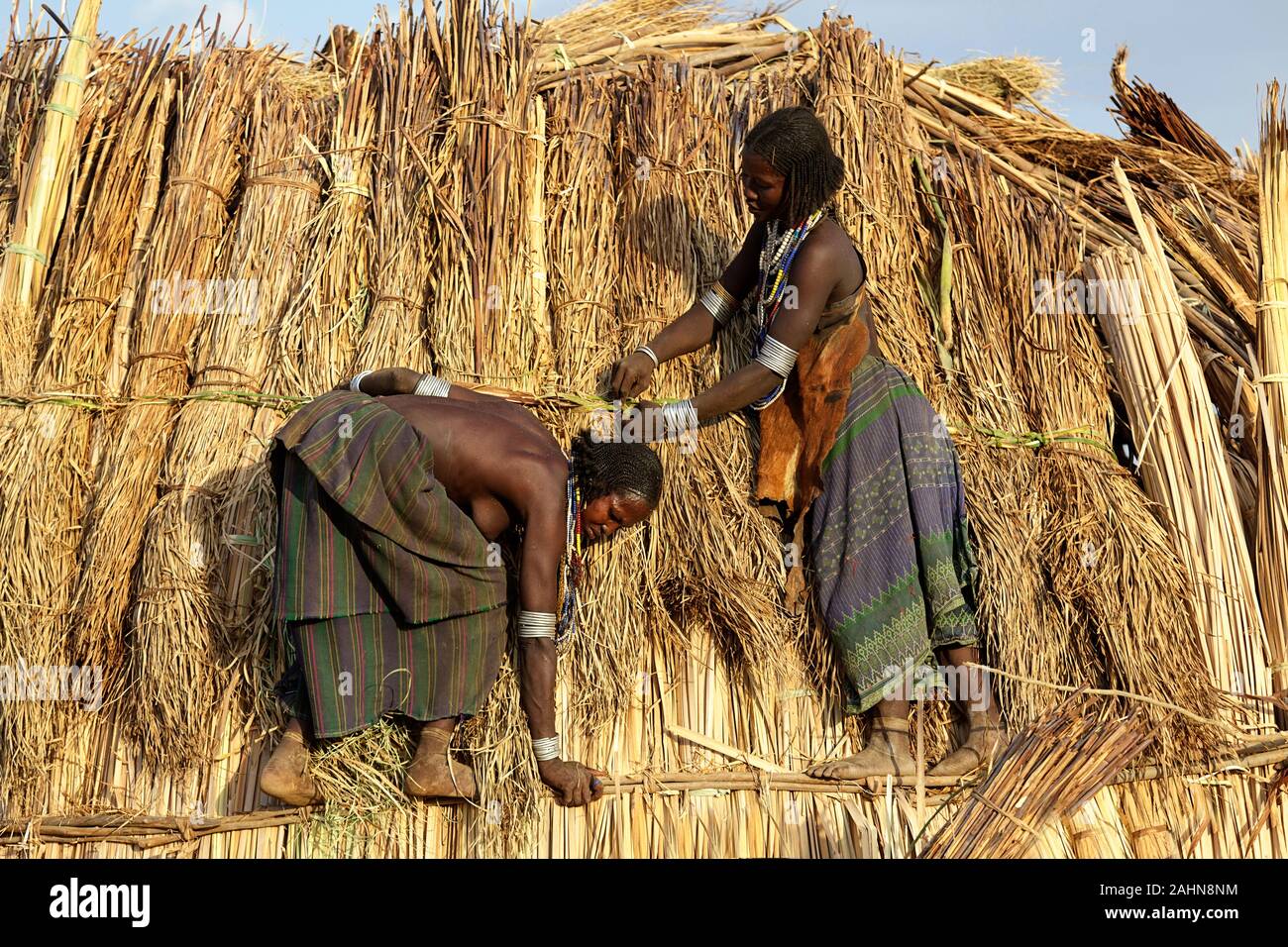 Arbore Frauen bauen ein Haus, Omo Valley, Äthiopien Stockfoto