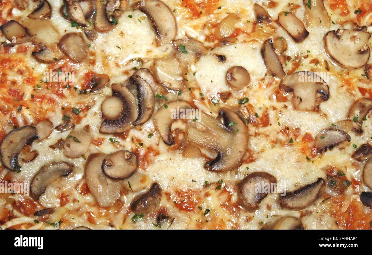 Pilz und geschmolzenen Mozzarella Pizza Hintergrund Stockfoto