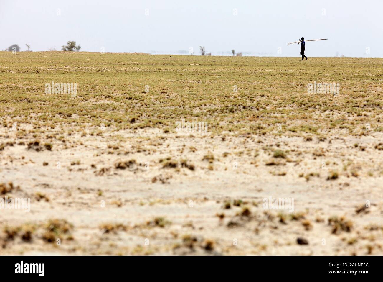 Mann mit einem langen Stock wandern in trockene Landschaft in der Nähe von Lake Turkana, Grenze zwischen Äthiopien und Kenia Stockfoto