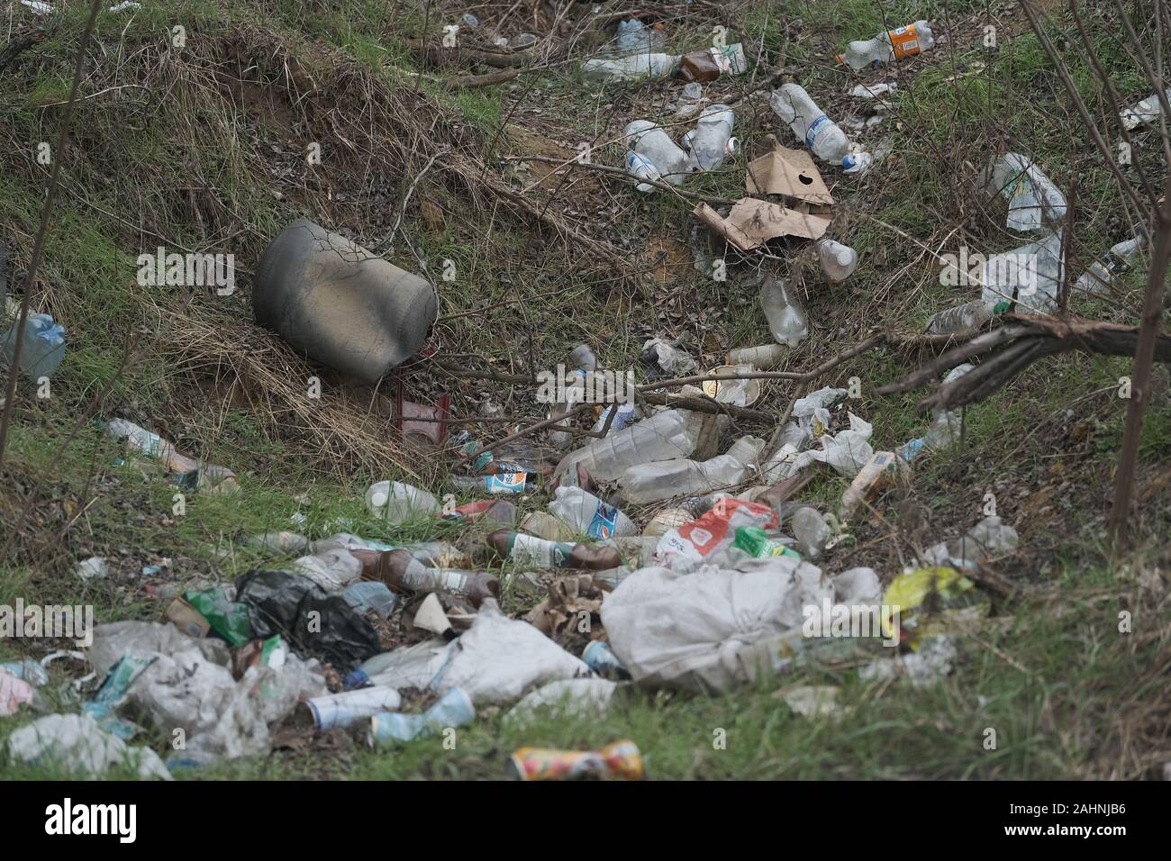 Elemental dump plastik Müll am Straßenrand in der Nähe am Rande des Waldes. Verschmutzung der Umwelt mit Kunststoff- und andere Abfälle. Stockfoto