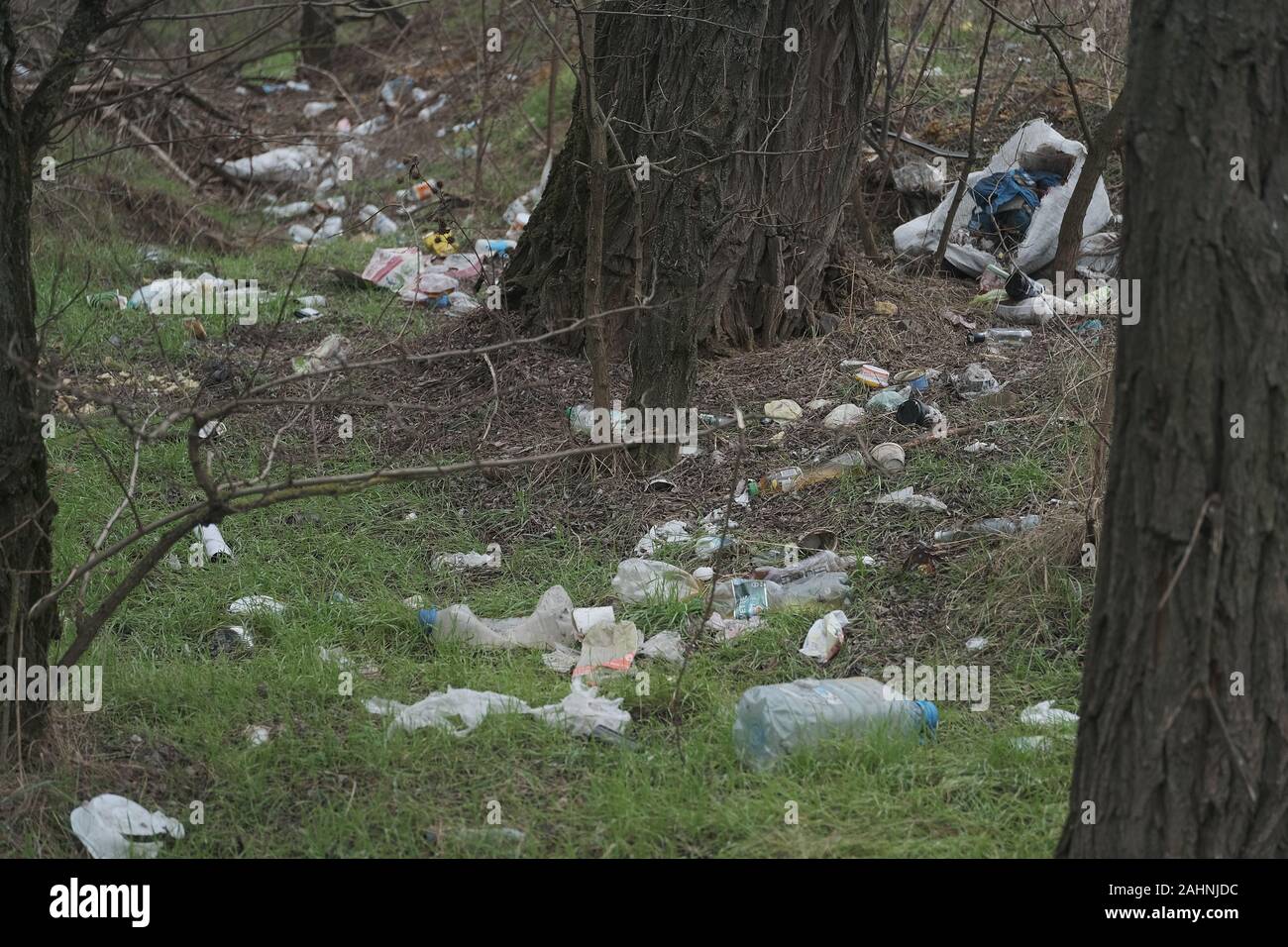 Wald Verschmutzung, plastik Müll im Pinienwald. Dump Kunststoff Verschmutzungen im Pinienwald. Dump Müll in Wäldern der Ukraine. Umwelt Stockfoto