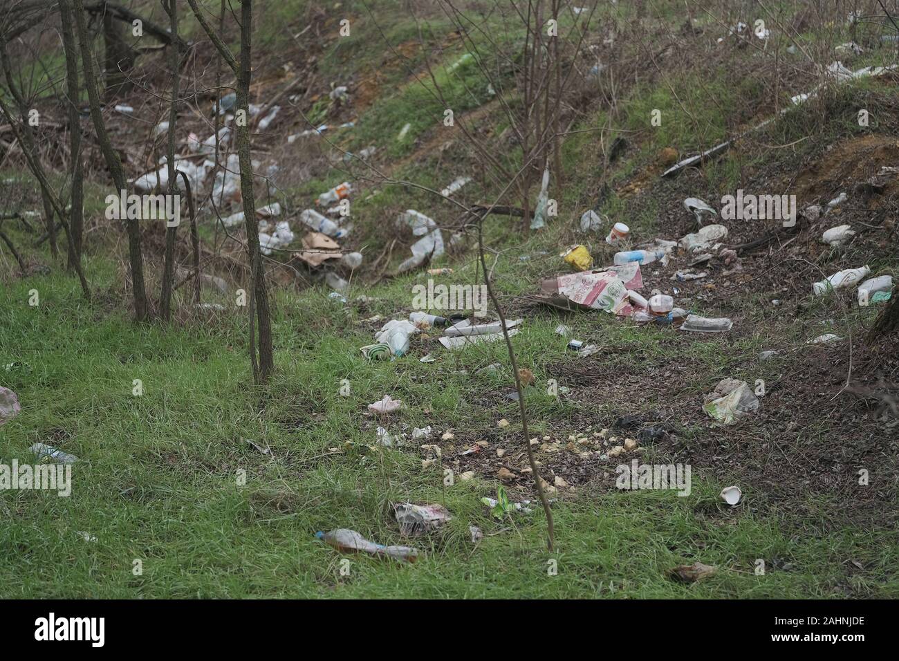 Wald Verschmutzung, plastik Müll im Pinienwald. Dump Kunststoff Verschmutzungen im Pinienwald. Dump Müll in Wäldern der Ukraine. Umwelt Stockfoto