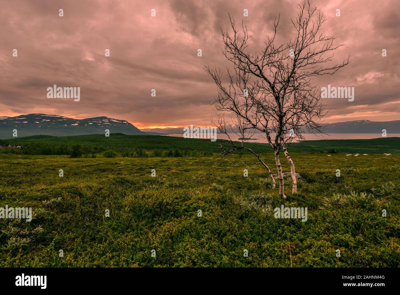 Die Landschaft von Abisko Nationalpark im nördlichen Schweden wie aus Paddus Sicht in Richtung See bei Sonnenuntergang Tornetrask Licht gesehen. Die Nordischen Stockfoto