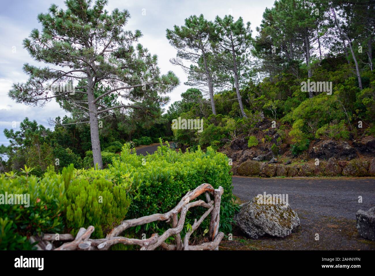 Parque Florestal da Prainha, Pico, Azoren, Portugal Stockfoto