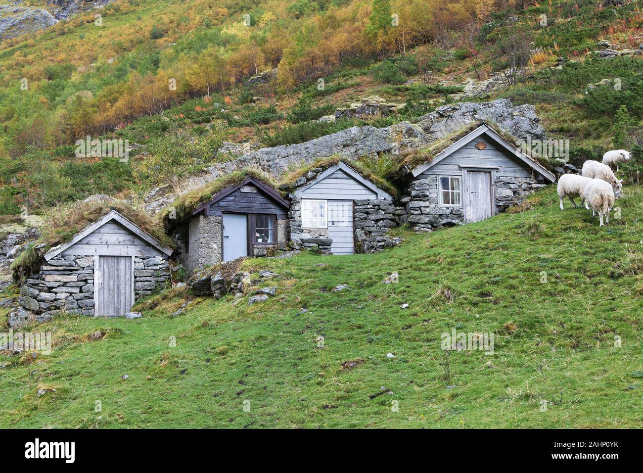 Sod Dach Hütten in Norangsdalen, Mehr og Romsdal, Norwegen. Stockfoto