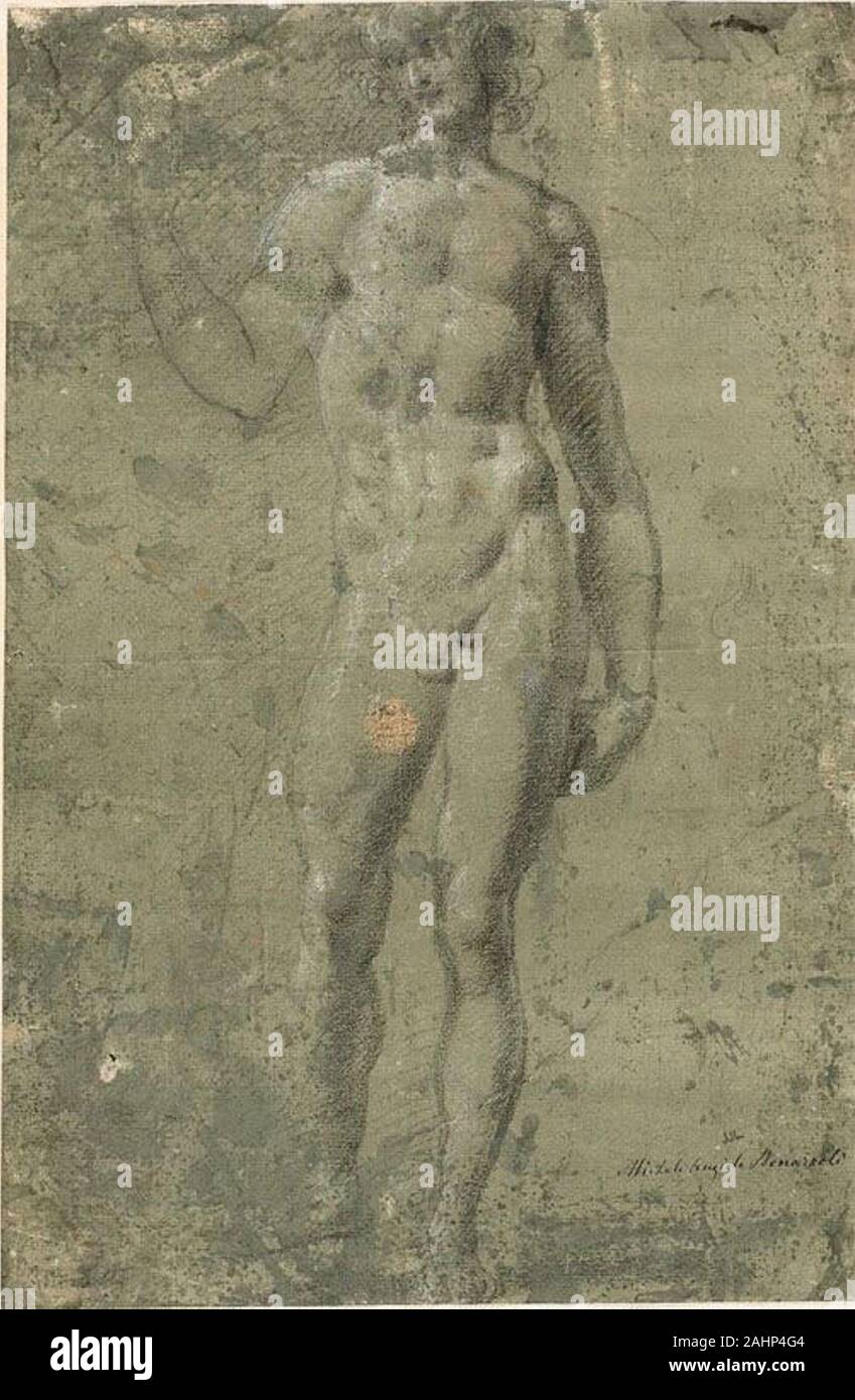 Michelangelo Buonarroti. Bacchus (recto); architektonische Skizzen (verso). 1600 - 1699. Italien. Schwarze Kreide und Graphit, mit einem Hauch von weißer Kreide (recto, rote und schwarze Kreide (verso), auf Elfenbein Bütten mit einem grünen Waschen vorbereitet erhöhte Stockfoto