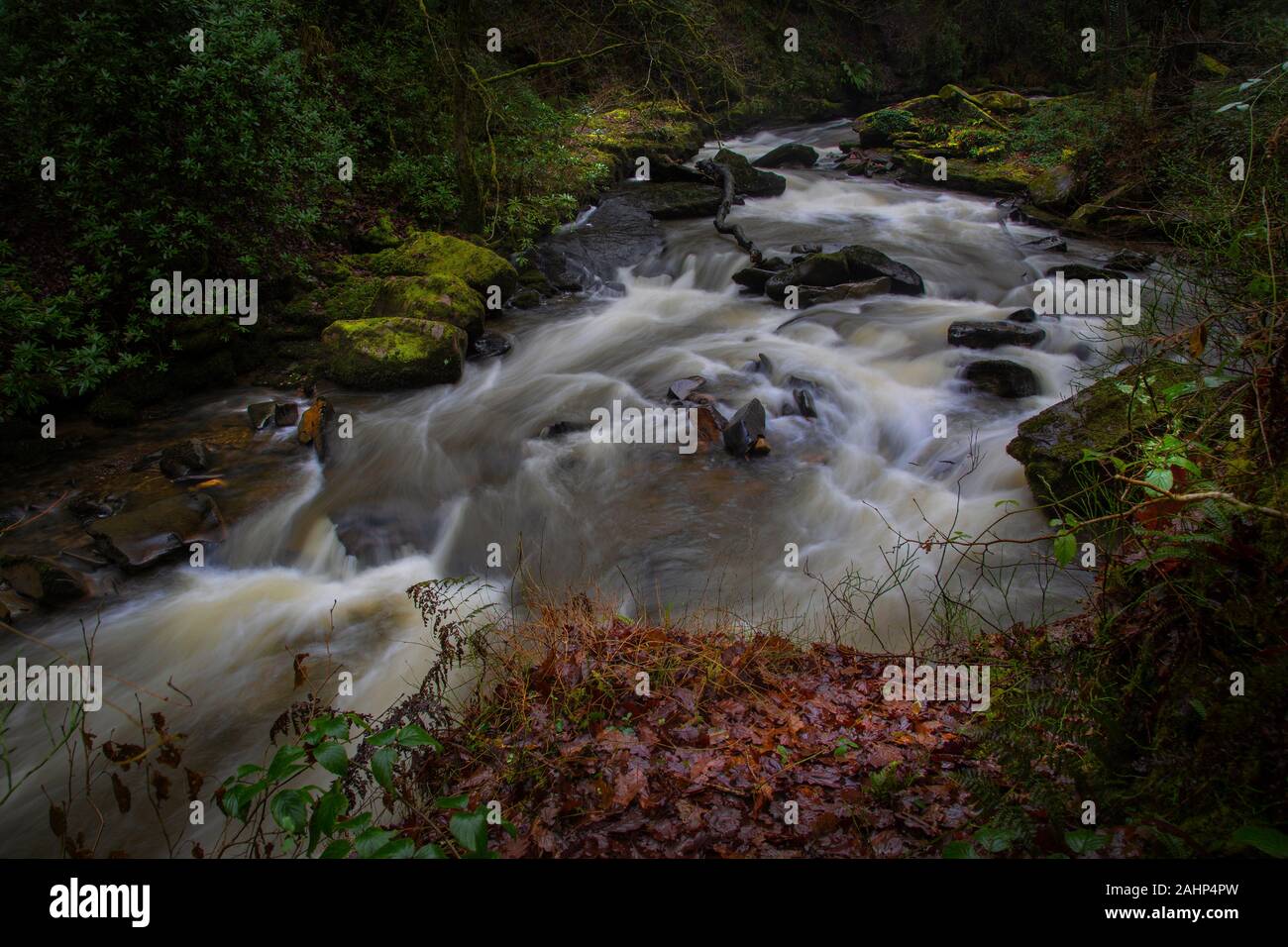 Die obere Clydach Fluss in Pontardawe Stockfoto