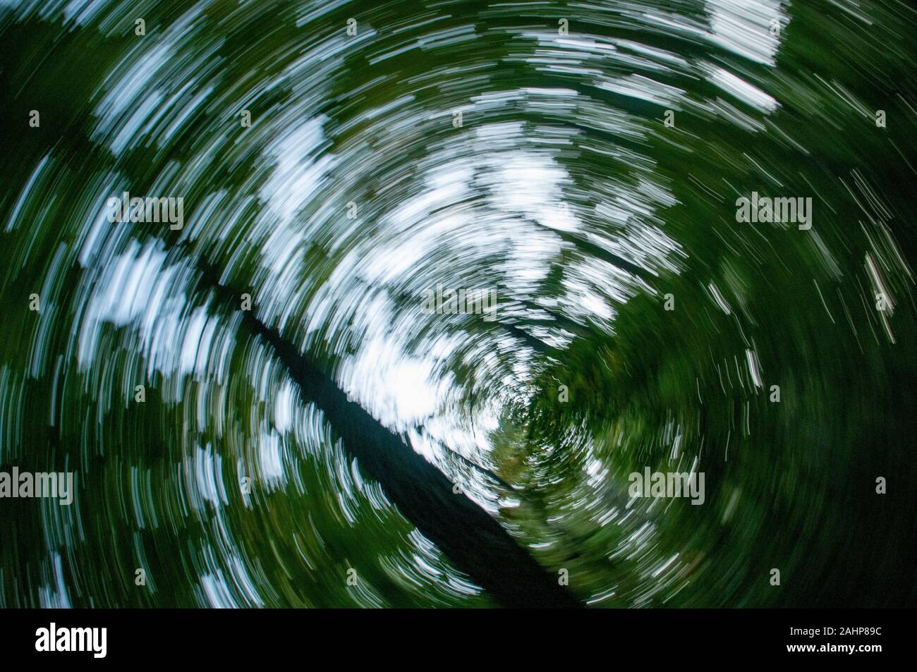 Abstrakte Wald, Ripple Effect, im Laufe der Zeit Stockfoto