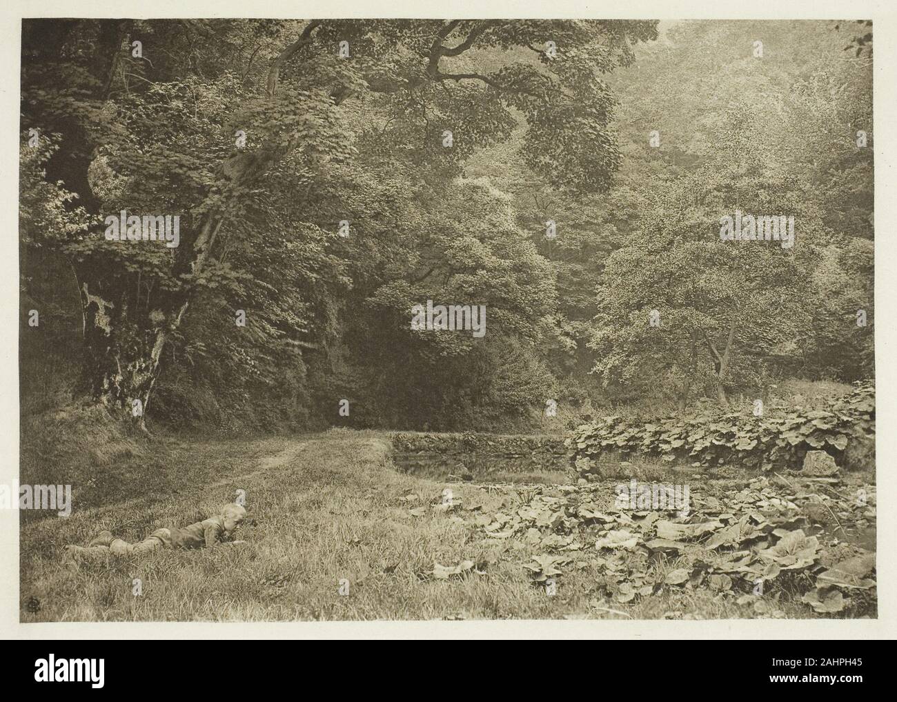 Peter Henry Emerson. Eine ruhige Ecke in Beresford Dale. 1880 - 1888. England. Photogravüre, Platte LIII aus dem Album The Compleat Angler oder Erholung des kontemplativen Menschen, Band II (1888); Edition 109/250 Stockfoto