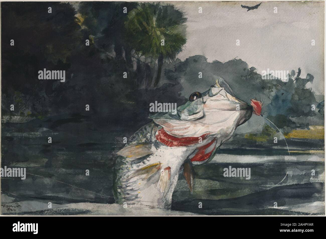 Winslow Homer. Life-Size Black Bass. 1904. In den Vereinigten Staaten. Transparente Aquarell, mit einem Hauch von opak Aquarell, Wiedervernässung, Blotting und Schaben, über Graphit, Dicke, mäßig strukturierten (twill Textur auf verso), im Januar 1904 Elfenbein webte Papier (linken, rechten und unteren kanten getrimmt), Homer reiste nach Homosassa, Florida, zu fischen. Die homosassa River, auf der Golfseite der Zustand, war Heimat für viele Fischarten und unterstützt einen üppigen Lebensraum für wild lebende Tiere. Es wurde im Homosassa, dass Homer seine letzten tropischen Wasserfarben, einschließlich life-size Black Bass gemalt. In dieser Arbeit, die der Künstler in der Lage, die Stockfoto