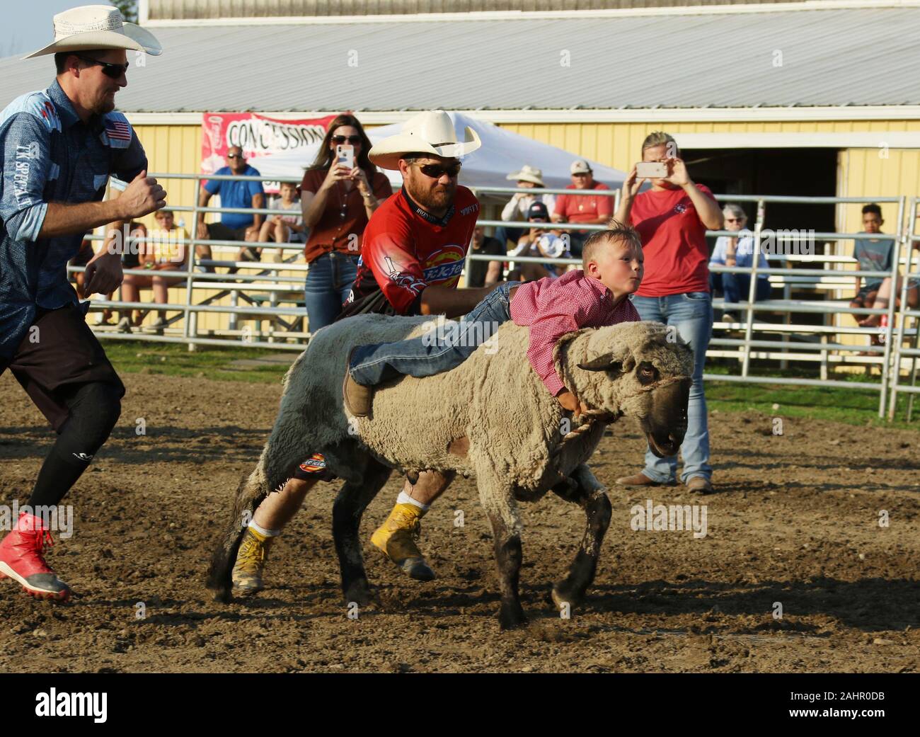 Mutton Bustin. Kinder reiten Schafe als Rodeo fun Event. Junge nimmt seine Fahrt. Kleine Stadt wöchentlich Stier Reiten als Sport. Fox Hollow Rodeo. Waynesvil Stockfoto