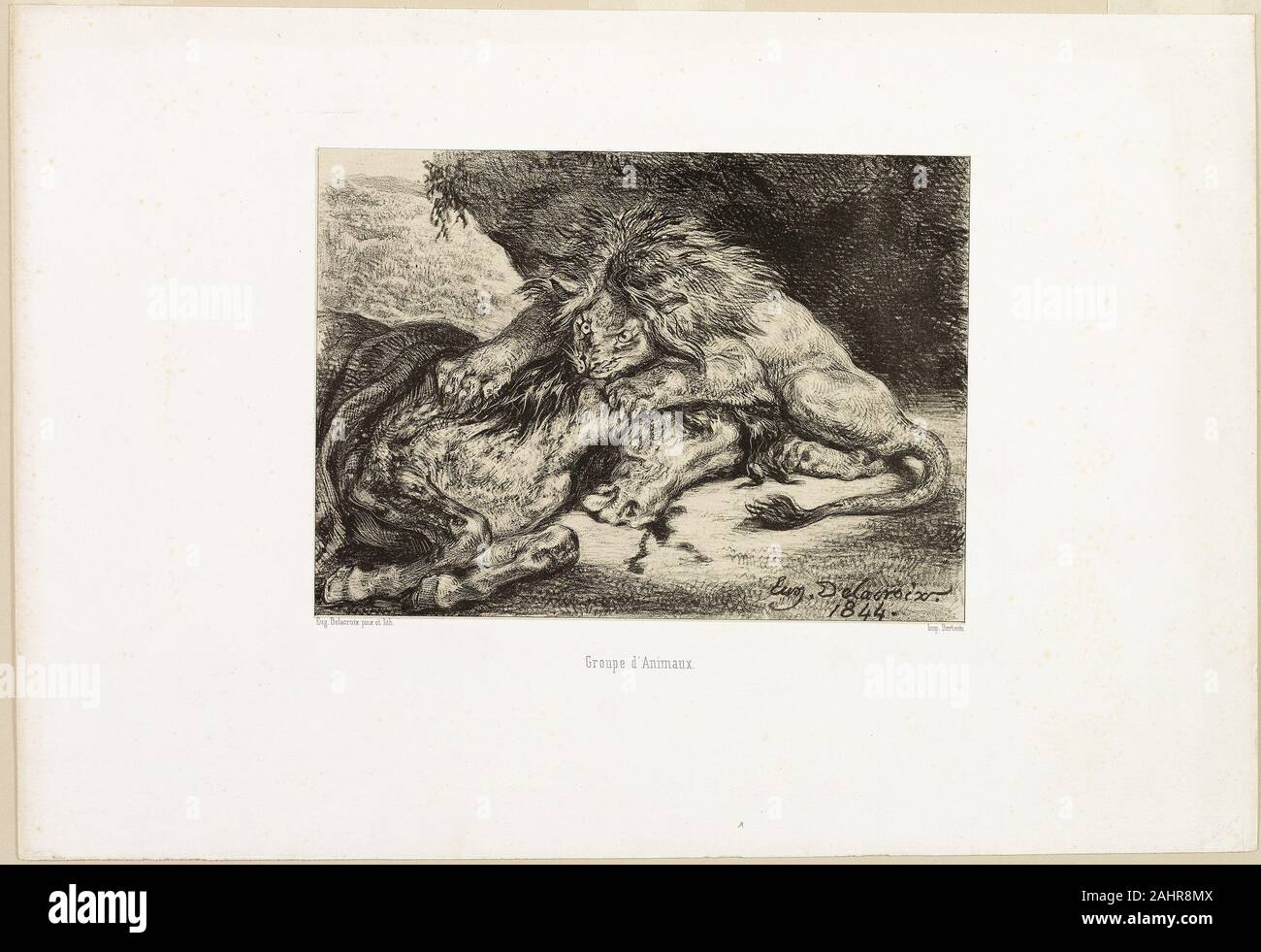Eugène Delacroix. Lion frisst ein Pferd. 1844. Frankreich. Lithographie in Schwarz auf Elfenbein China Papier legte sich auf weißem Papier webten Eugène Delacroix Schwarz-Weiß-Lithographien sind fast Koloristik in ihrer dramatischen Explosionen von malerischen Ton. Der Künstler, gewaltsam auf die sorgfältige lineare Stile von der Königlichen Akademie vertreten dagegen (wie von Jean-August-Dominique Ingres und Jacques-Louis David vertreten), zeichnete nicht nur seine tierischen druckt direkt auf der lithographischen Stein, sondern auch kratzte und in sie kratzten weiter zu erstellen. Diese Orientalizing drucken war zwölf Jahre nach einem gemacht Stockfoto