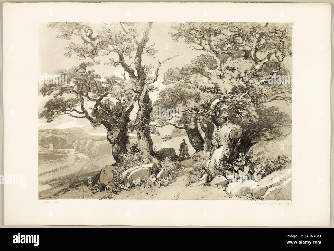 James Duffield Harding. Alte Eichen, Vom Park und den Wald. 1841. England. Lithographie in Schwarz, mit grauen Farbton aus einer zweiten Platte, auf Elfenbein webte Papier, legte sich auf Elfenbein webte Papier (chine collé) Stockfoto