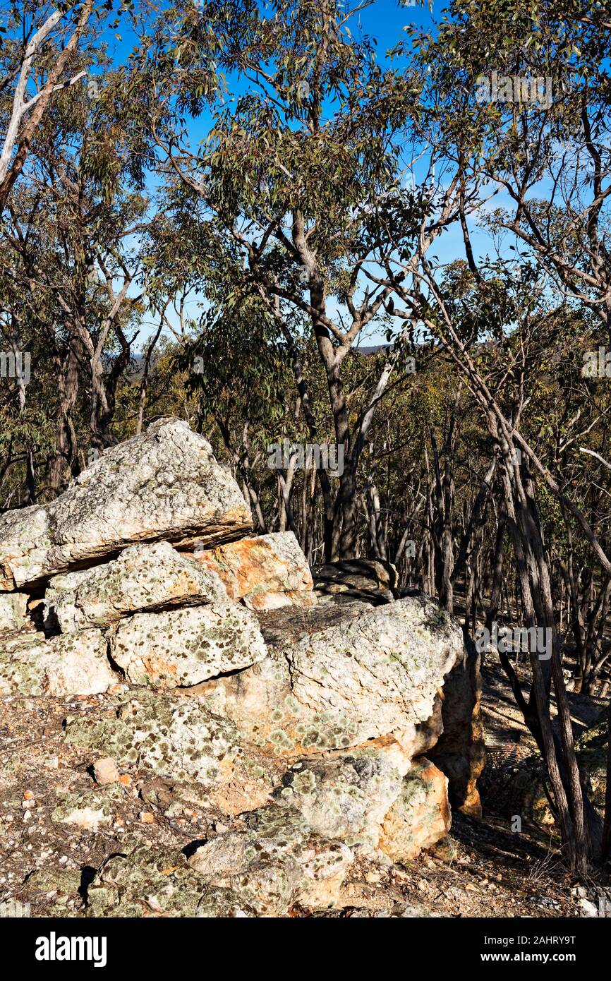 Lillicur Australien/Capitol Reef Geologische Reserve in Lillicur Victoria Australien. Stockfoto