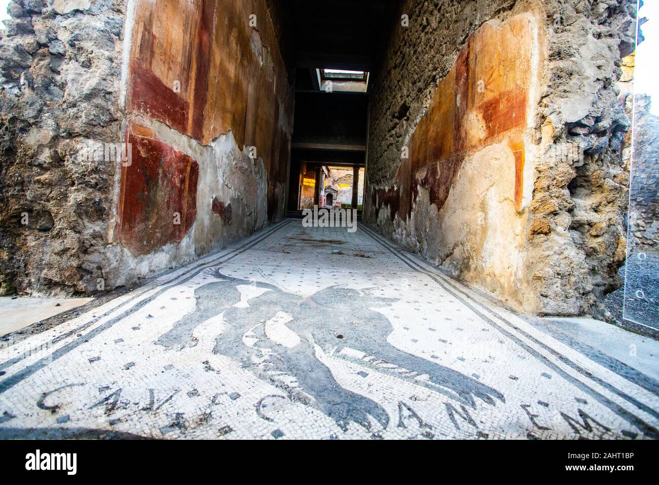 CAVE CANEM - Hüten Sie sich vor dem Hund Bodenmosaik im Vorraum des Hauses des tragischen Dichters in Pompeji, Italien Stockfoto