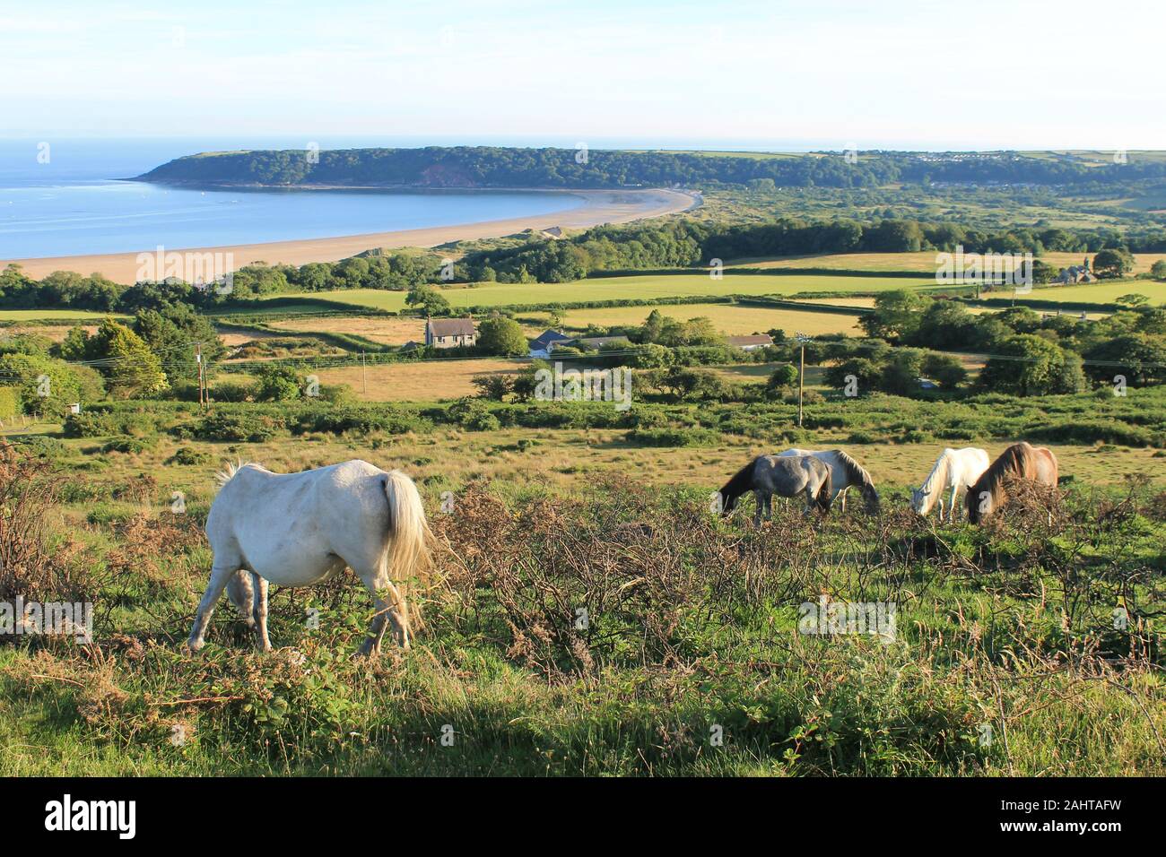 Oxwich Bay von den Hängen des Cefn Bryn, Gower, South Wales, Großbritannien Stockfoto