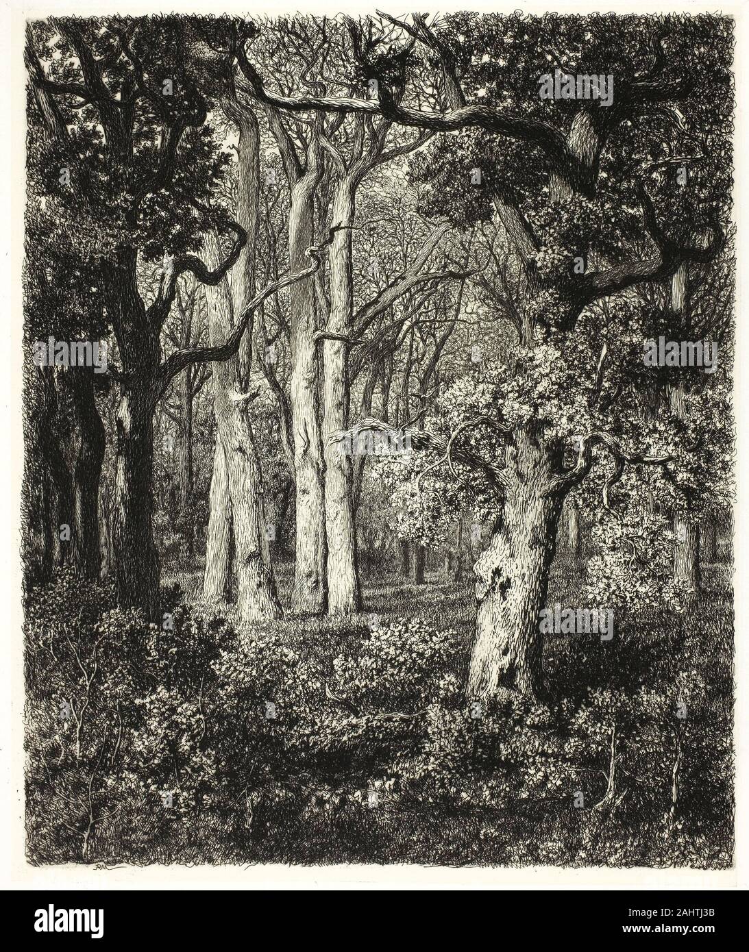 Adolphe Martial Potémont. Alte Eichen an Bas Bréau. 1860 - 1870. Frankreich. Ätzen und Kaltnadelradierung auf Creme webte Chine auf weißen webte Karte festgelegt Stockfoto