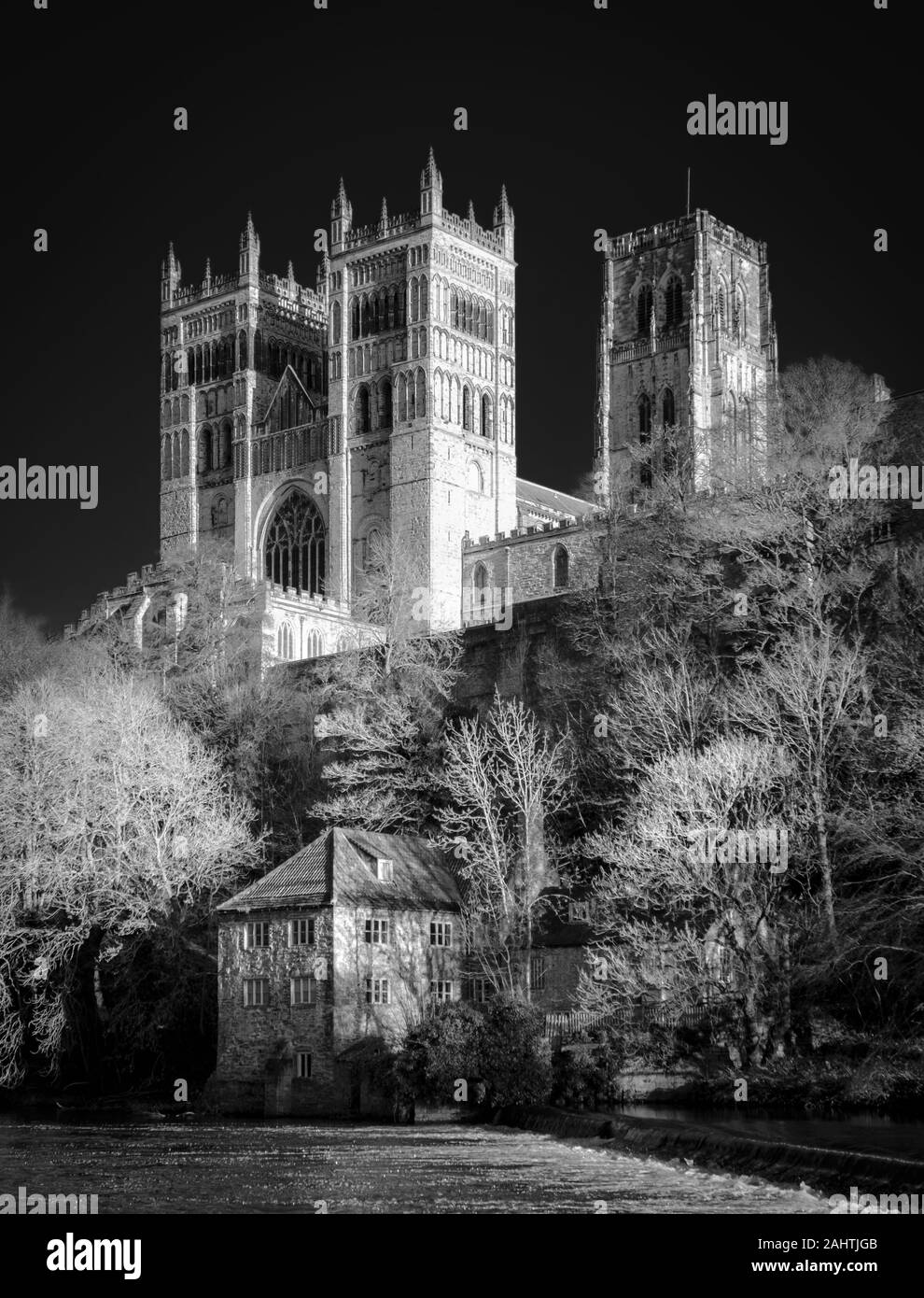 Durham Cathedral über den Fluss tragen, County Durham, England Stockfoto
