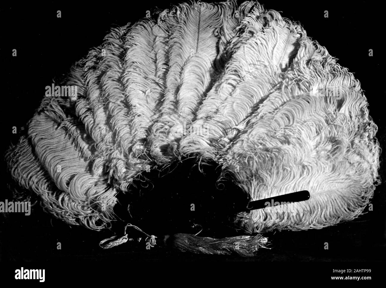 Ventilator. 1801 - 1900. In den Vereinigten Staaten. Weiße Straußenfedern auf normales Schildpatt Sticks und Wachen; shell Niete und Schleife; weißer Seide Kordel und Quaste mit Finger Schleife Stockfoto