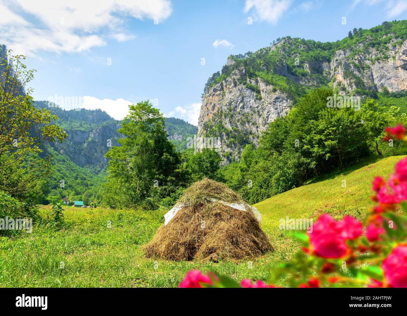 Wiese und Haystack unter den Bergen von Montenegro Stockfoto