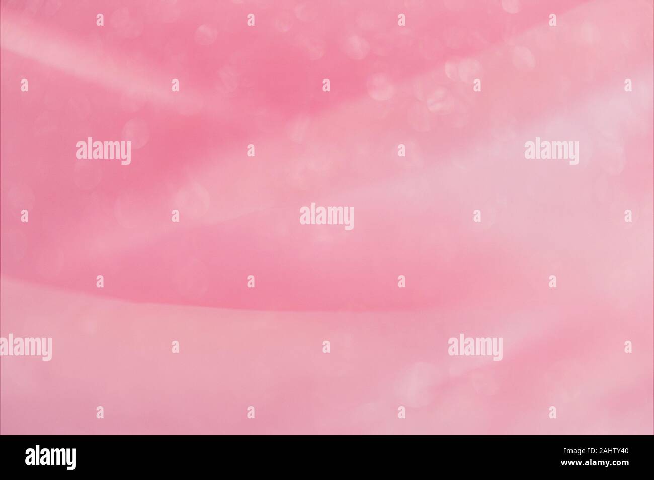 Makro Foto von rosa Rosenblüten mit attraktiven Licht bokeh und weichen, natürlichen Linien, eine hübsche, temperamentvolle, girly Suchen einen Hintergrund. Stockfoto