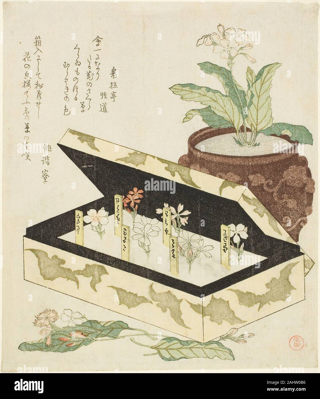 Kubo Shunman. Primeln. 1810 - 1819. Japan. Farbe holzschnitt; shikishiban, surimono Stockfoto